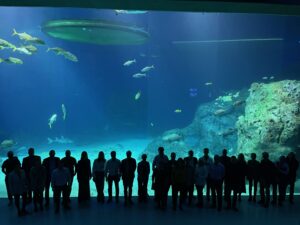 GA at the aquarium