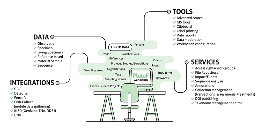 PlutoF workbench schema